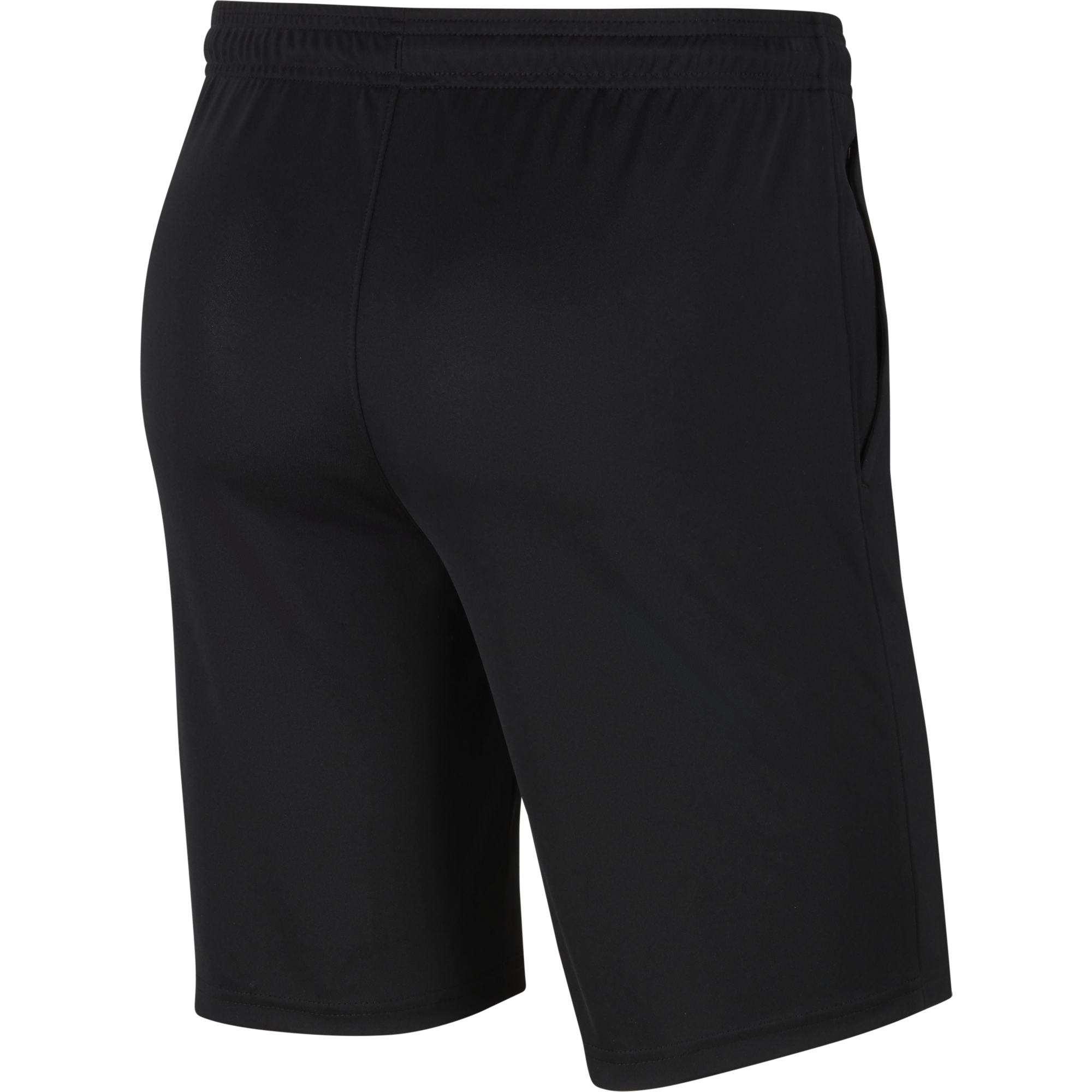 Dri-Fit Park 20 Knit Short